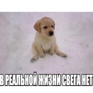 Пёсик