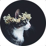 Steam profile picture for @choreography