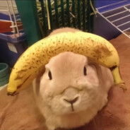 AnalnySnajper