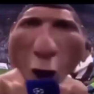 vamos