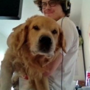 Fifcio