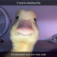 sorry