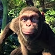Jedrus