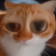 Pudim O Gato