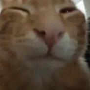 virendeluxe