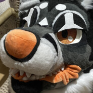 SHARKYEEN