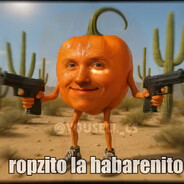 LAN SOLO PEEK 420 avatar