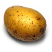 b vjnhb