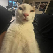 𝗂𝑣c𝖍𝒐