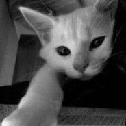 Tonny