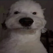 VUF