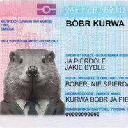 Bobr Bydle