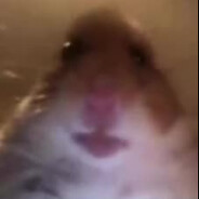 HOMYK