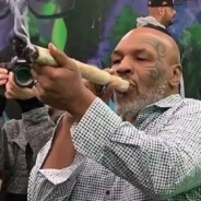 Ganja player 1337