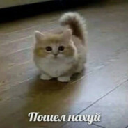 твои губки на моей залупке