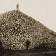 Buffalo Bill