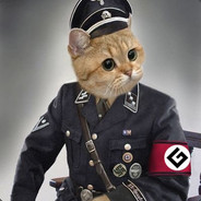 Heine 1stelvN