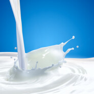 The "Milk" Man