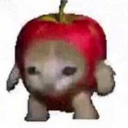 apple cat