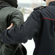 115фз