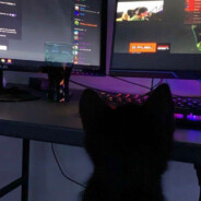 shitpeek