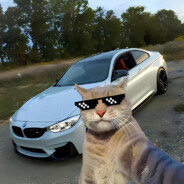 Pelmen_46
