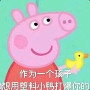 面对疾风吧y