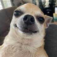 ᴴᵒʳᶦ