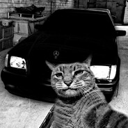ya pizdatiy))