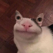 Мой хозяин