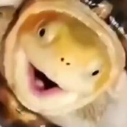 Подъём
