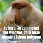 Mekambe