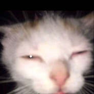 sasamba