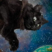 crazycatguy3120