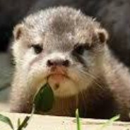 Hateful_Otter