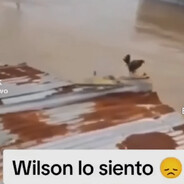 LO SIENTO, WILSON! avatar
