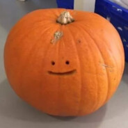 Pumpkin