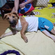 f