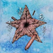Zuck's Chocolate Starfish
