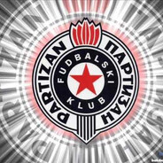  Partizan™