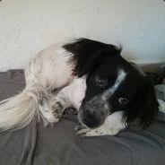 TheSpaceNoodle