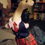 Snake Chan