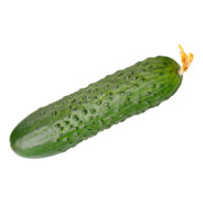 CUCUMBER
