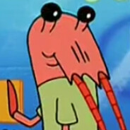 shrimp