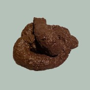 Image result for poop ruined category because antibiotic syringe wblockrage - Poop Ruined Category Because Antibiotic Syringe Wblockrage