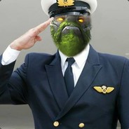 Петушиные авиали