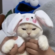 katethegreat