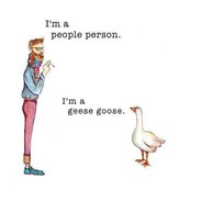 Goose
