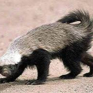 Ratatel