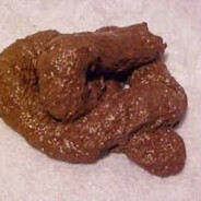mr poop